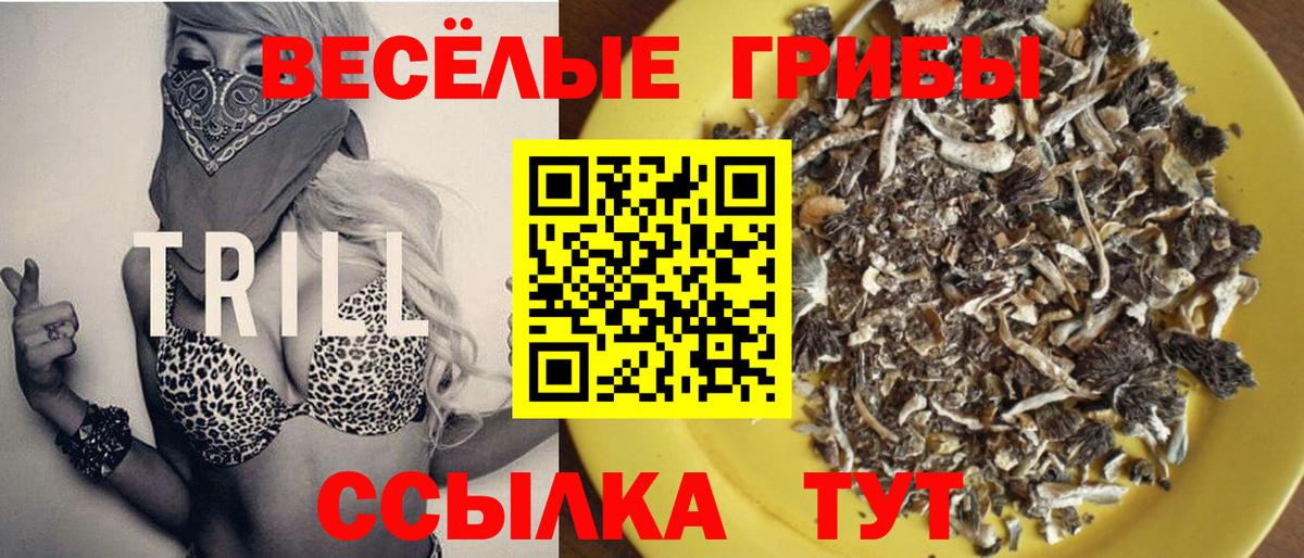 Галлюциногенные грибы Magic Shrooms Донской